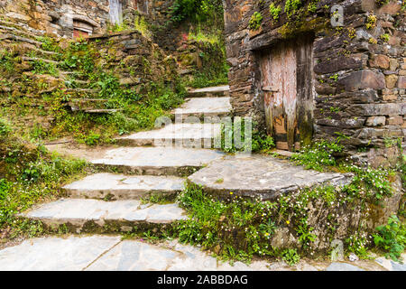 Una scalinata di pietra tra rustico edifici di pietra ricoperta da una lussureggiante vegetazione e fiori selvatici in Talasnal, Portogallo Foto Stock