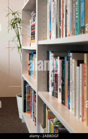 Home dettaglio interni - un pulito bianco confezionato da scaffale con libri e un fiore di papiro. Pulire le linee bianche e intima home libreria. Foto Stock