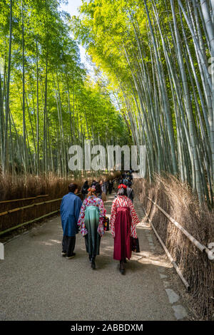 Un uomo e due donne che camminano in abiti tradizionali nel boschetto di bambù di Arashiyama, che è una foresta naturale di bambù in Arashiyama, Kyoto, Giappone. Foto Stock