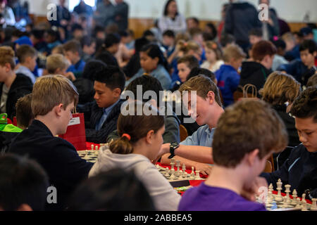 Nazionale junior campionato di scacchi, Christchurch, Nuova Zelanda Foto Stock