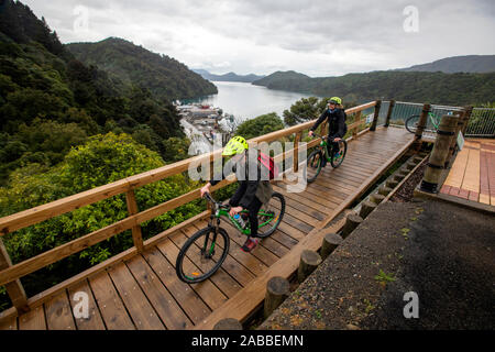 Percorso di collegamento, Marlborough, Nuova Zelanda Foto Stock