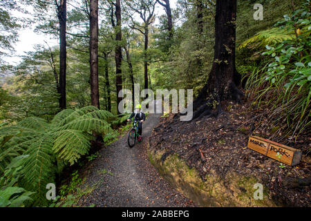 Percorso di collegamento, Marlborough, Nuova Zelanda Foto Stock