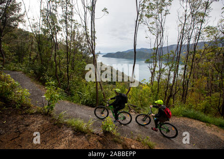 Percorso di collegamento, Marlborough, Nuova Zelanda Foto Stock