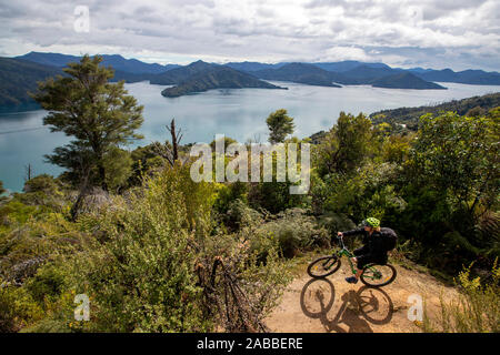 Percorso di collegamento, Marlborough, Nuova Zelanda Foto Stock