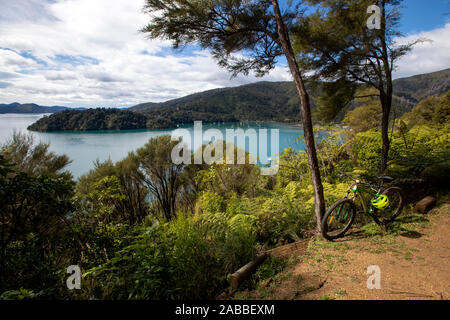 Percorso di collegamento, Marlborough, Nuova Zelanda Foto Stock