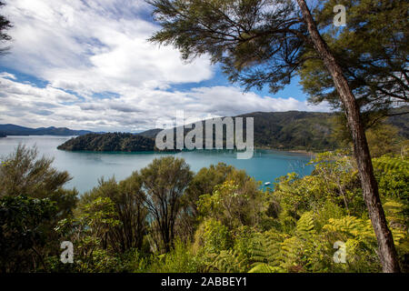 Percorso di collegamento, Marlborough, Nuova Zelanda Foto Stock