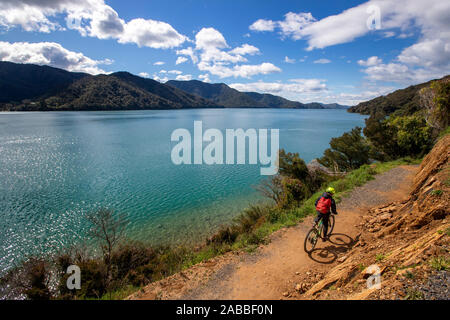 Percorso di collegamento, Marlborough, Nuova Zelanda Foto Stock