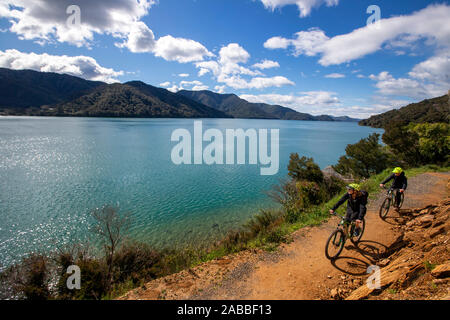 Percorso di collegamento, Marlborough, Nuova Zelanda Foto Stock