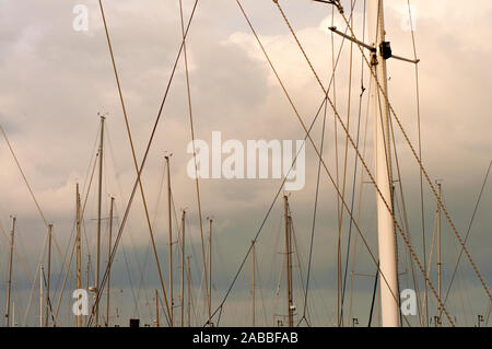 Alberi e molte corde di barche a vela in piedi in porto. Immagine grafica con oblique e linee verticali. Cielo Molto nuvoloso in background Foto Stock