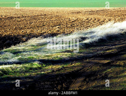 Inverno texture in campi su Welby Heath Foto Stock