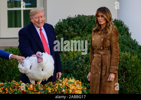 Il Presidente degli Stati Uniti, Trump perdona la Nazionale del Ringraziamento Turchia nel Giardino delle Rose della Casa Bianca di Washington, DC Martedì, Dicembre 26, 2019. La first lady Melania Trump guarda a destra.Credit: Ron Sachs/CNP /MediaPunch Foto Stock