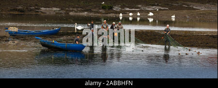 Gardo di pesca del salmone sul Tweed a Berwick sotto il Ponte Vecchio Foto Stock