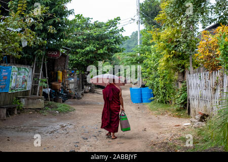 Un anziano monaco buddista vestito di porpora accappatoi capi per il suo monastero sotto un ombrello nel villaggio di Kanne lungo il fiume Chindwin in Myanmar Foto Stock