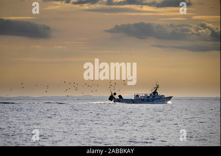 Barche da pesca seguito da gabbiani al tramonto nel Mediterraneo Spagna Foto Stock