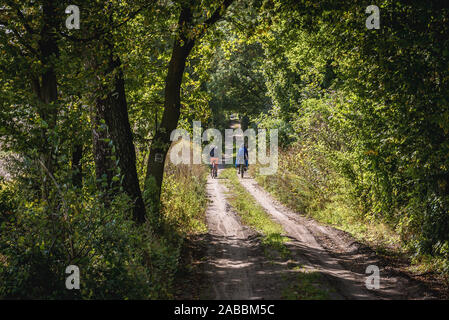 Country Road in Ostroda contea di Warmian-Masurian Voivodato in Polonia settentrionale Foto Stock