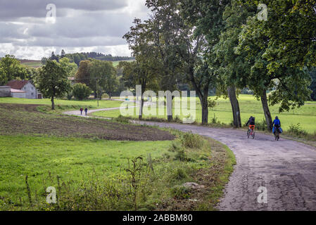 Country Road vicino al villaggio Glaznoty trova Ostroda contea di Warmian-Masurian Voivodato in Polonia settentrionale Foto Stock