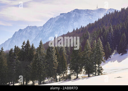 Panoramica scena di neve nelle montagne di Bucegi, Romania, durante un escursionismo invernale di viaggio con strati di picchi rocciosi, creste e una foresta di pini. Foto Stock