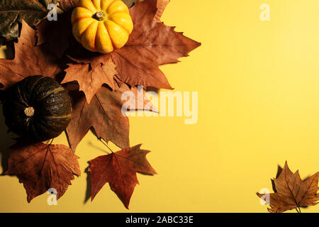 Felice giorno del Ringraziamento con foglie di acero e zucca su sfondo giallo Foto Stock