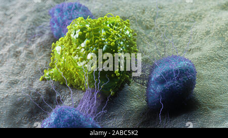 3D Rendering accurato dal punto di vista medico illustrazione di una cellula di cancro di essere attaccato da leucociti Foto Stock