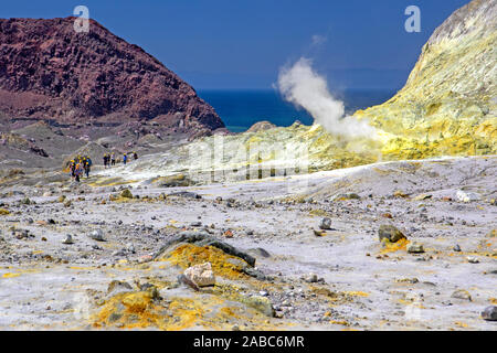 Whakaari (Isola Bianca), Nuova Zelanda, il vulcano più attivo Foto Stock