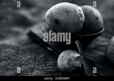 In prossimità delle materie patata biologica in un vaso di argilla su sacchi di iuta e alcuni limoni freschi anche con esso.shot orizzontale. Foto Stock