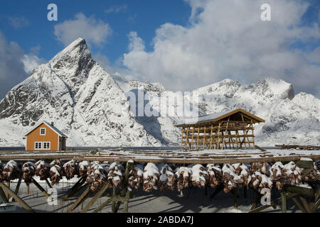 Im Winter auf den Lofoten an der Stadt Sakrisoy nei in Norwegen. Foto Stock