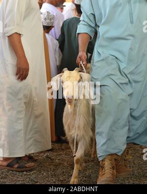 Affollato mercato giorno del bazaar di animali, capra asta in Nizwa, Oman. Foto Stock