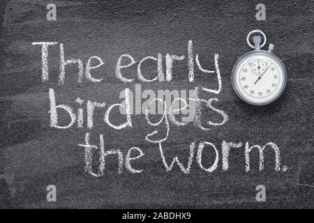 Early Bird ottiene il worm proverbio inglese scritti sulla lavagna con vintage cronometro preciso Foto Stock