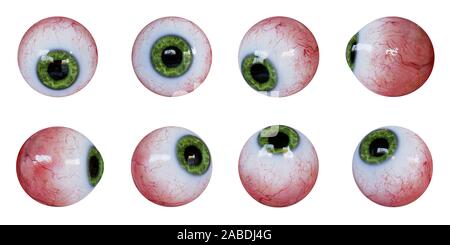 Set di bulbi oculari umana con iris verde isolato su sfondo bianco Foto Stock