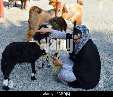 Nizwa, Oman, Novembre 23rd, 2018: La donna omani capra vendita al mercato degli animali in Nizwa, Oman. Foto Stock