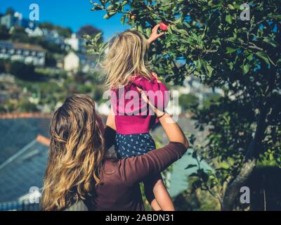 Una giovane madre sta sollevando il suo bimbo fino in modo che egli possa raccogliere le mele nel loro giardino Foto Stock