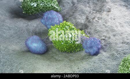 3D Rendering accurato dal punto di vista medico illustrazione di una cellula di cancro di essere attaccato da leucociti Foto Stock