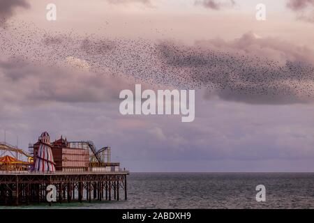 Per gli storni a Brighton Palace Pier Foto Stock
