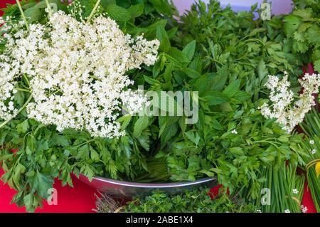 Le erbe fresche sul display al mercato. Sfondo di cibo Foto Stock