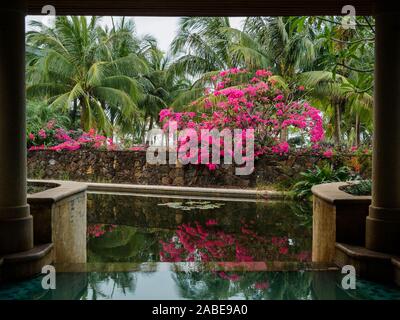 Aria aperta primavera calda con una bella vista di fiori e alberi di noce di cocco in tropicale Hainan in Cina. Foto Stock