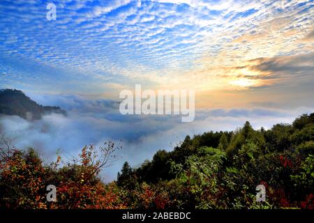 Pesce-scala-come cloud, noto anche come Altocumulus translucidus, che indica una grave aria fredda, appeso sopra la montagna di giallo, formando un meraviglioso na Foto Stock