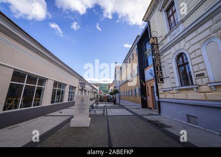 Memoriale delle vittime del comunismo e del Museo della Resistenza in Sighetu Marmatiei città in Maramures Contea del nord ovest della Romania Foto Stock