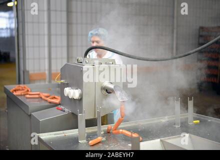 Industria alimentare workplace - norcineria fabbrica per la produzione di salsicce - le donne che lavorano sulla linea di assemblaggio Foto Stock