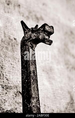 Una decorazione a testa di cavallo rinascimentale di dettaglio del ferro battuto per legare i cavalli all'architettura toscana facciate di San Quirico d'Orcia Toscana B/W Foto Stock