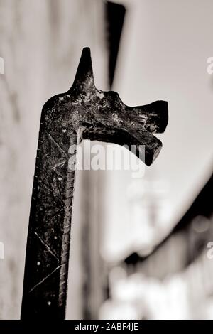 Una decorazione a testa di cavallo rinascimentale di dettaglio del ferro battuto per legare i cavalli all'architettura toscana facciate di San Quirico d'Orcia Toscana B/W Foto Stock