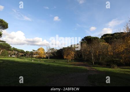 Roma, Italia. 22 Novembre, 2019. La gente a piedi nel parco di Villa Ada a Roma, Italia, nov. 22, 2019. Credito: Cheng Tingting/Xinhua/Alamy Live News Foto Stock
