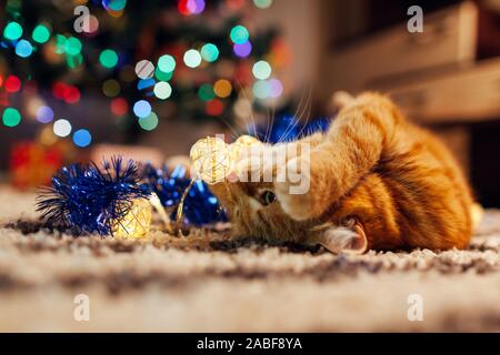 Lo zenzero cat giocando con una ghirlanda e tinsel sotto albero di Natale. Natale e Anno Nuovo concetto Foto Stock