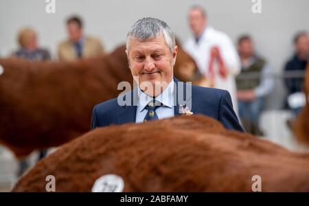 Gli agricoltori che mostra il pedigree bovini prima di una vendita all asta Borderway Mart, Carlisle, Cumbria, Regno Unito. Foto Stock