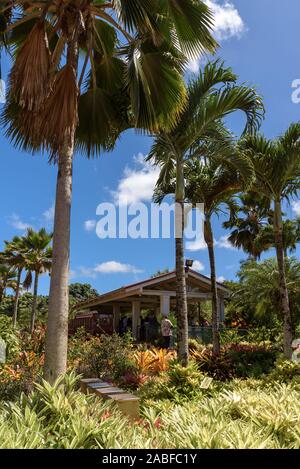 Un edificio piantagione, fiancheggiato da alte palme, su un'isola tropicale Foto Stock