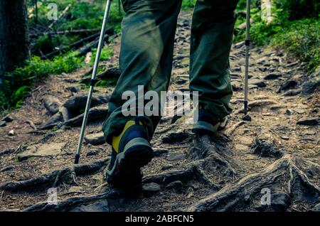 I piedi di un turista in calzature sportive con bastoni da passeggio su un sentiero di montagna contro lo sfondo di una vecchia foresta Foto Stock