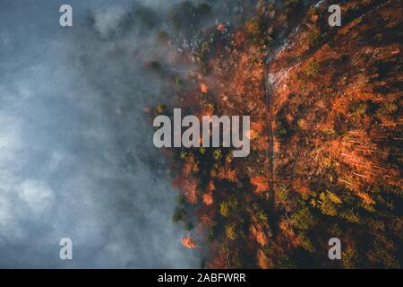 Incredibile vista aerea di nebbia e colorato bosco su sunrise. Paesaggio autunnale. Drone shot Foto Stock