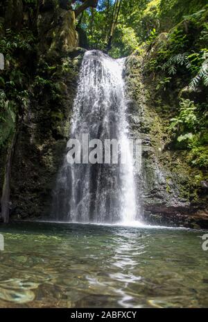 Cascata sull'isola di Sao Miguel nelle Azzorre. preggo salto in mezzo alla lussureggiante vegetazione Foto Stock