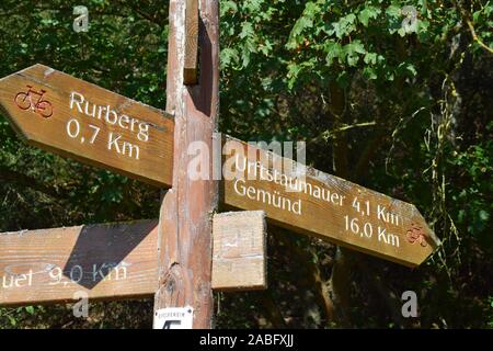 Obersee Rurtalsperren del sistema del serbatoio, Nationalpark Eifel Foto Stock