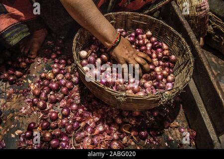 Kolkata, India. 27 Nov, 2019. Un venditore pulisce le cipolle in un mercato all'ingrosso in Kolkata, India, nov. 27, 2019. La prima spedizione di 6,090 tonnellate di cipolle acquistate dal governo indiano e dall'Egitto raggiungerà Mumbai port nella prima settimana di dicembre, hanno detto i funzionari martedì. La scorsa settimana, il governo indiano ha approvato l'importazione di 120000 tonnellate di cipolle attraverso il più grande Stato-run commercio estero enterprise, MMTC. Il movimento è stato volto a migliorare la disponibilità di cipolle nel mercato interno. Credito: Tumpa Mondal/Xinhua/Alamy Live News Foto Stock
