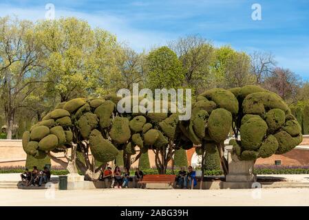 Pollarded alberi del Parco del Buen Retiro, Madrid, Spagna Foto Stock